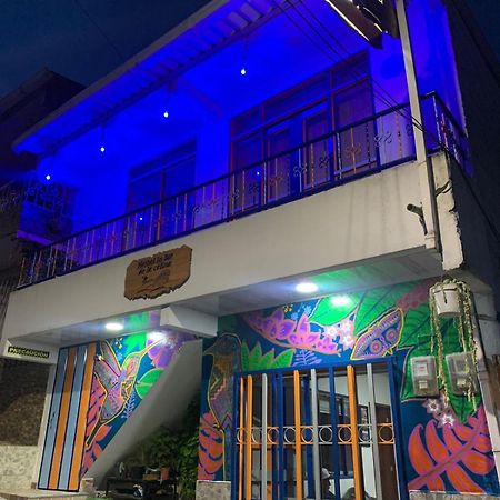 Hostal La Luz De La Colina Filandia Εξωτερικό φωτογραφία